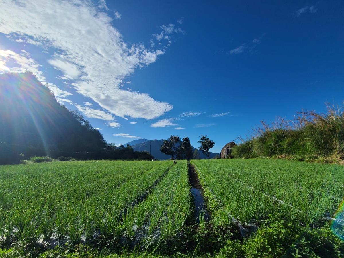 Batur Lake View Kintamani Exterior foto